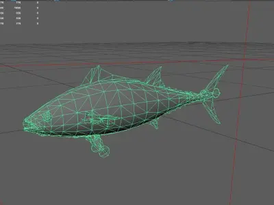 Tuna fish Low-poly 3D model 2