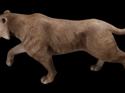  saber tooth 3D model