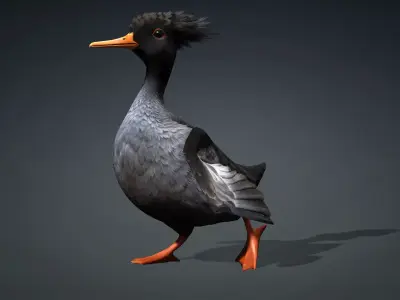 Duck-B5 3D model