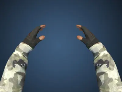 First Person View Hands Low-poly 3D model