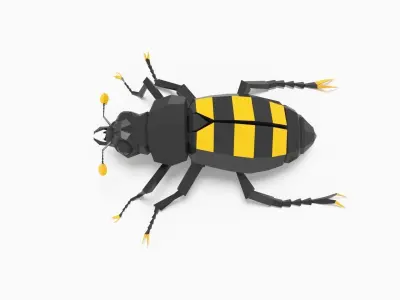 Bug low poly beetle 3D model