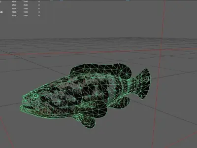 Grouper Low-poly 3D model 2