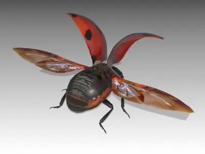 Ladybug Animated Low-poly 3D model