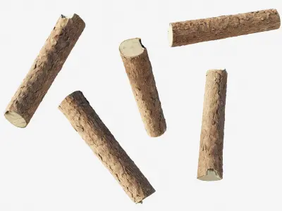 Scanned coniferous firewood  Low-poly 3D model