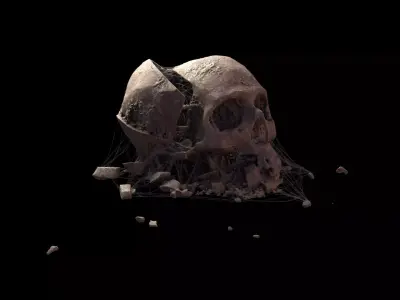 Broken Skull with Spider webs 4 3D model