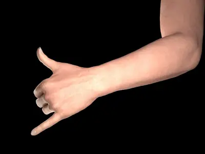 Female Hand Rigged 3D model
