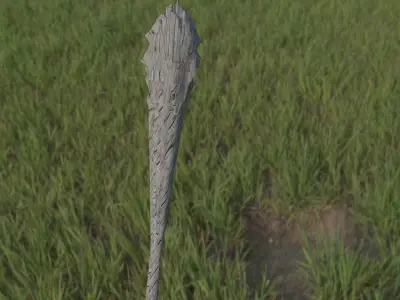 Wood Club 3D model