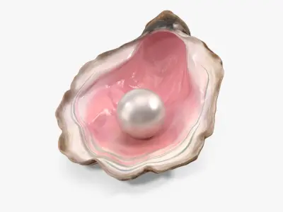  Pearl in Colored Shell 