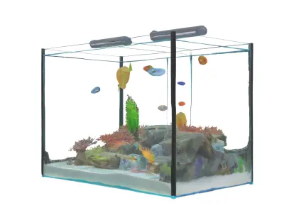 Aquarium Low-poly 3D model