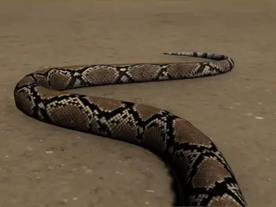 Snake Free 3D model 6