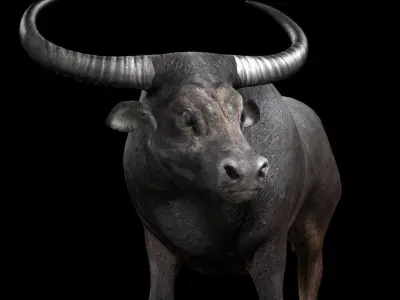 3DS Max Water Buffalo Rigged Low-poly 3D model