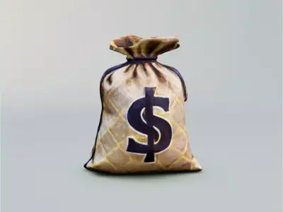 Bag with money 3D model