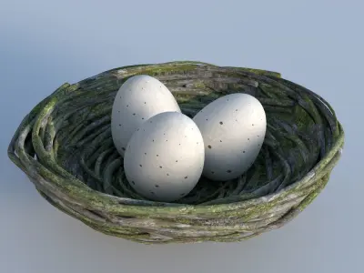 Bird Nest 3D model purchase
