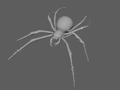 Spider 3D model 21