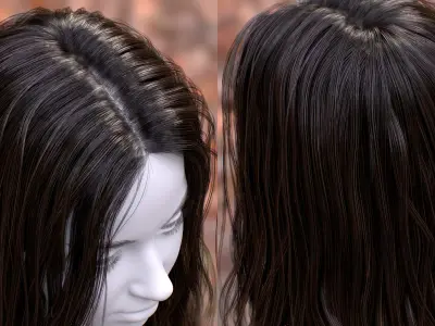 Womans Hair with Eyelashes and Eyebrows 3D model
