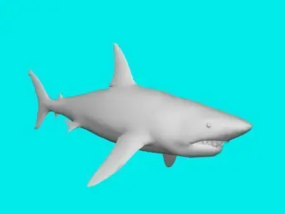 big shark 3D model