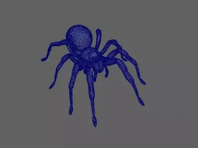 Spider 3D model 16