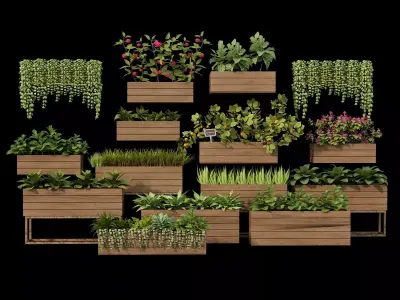 Home plants 3D model Low-poly 3D model