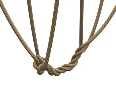 Rope Wire 3D model
