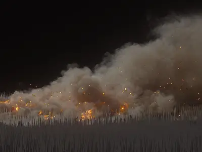 10 Animated Fire VDB Models 3D model