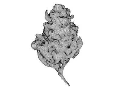 Realistic Cannabis Bud 01 3D model