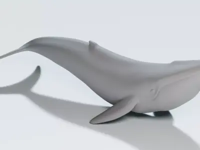 whale 3D model purchase