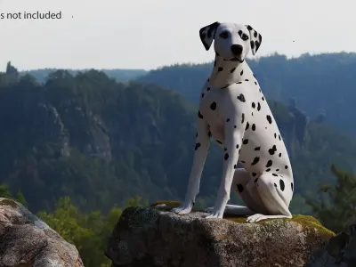 Dalmatian Dog Sitting Pose 3D model