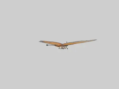 Monarch Butterfly flying model 3D model