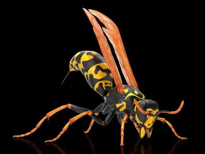 Paper Wasp Rigged for Maya 3D model