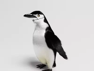 Penguin special Low-poly 3D model