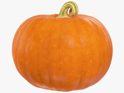 Pumpkins Collection V8 3D model