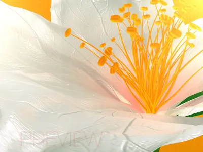 Realistic Jasmine Flower Bloom Animation 3D model