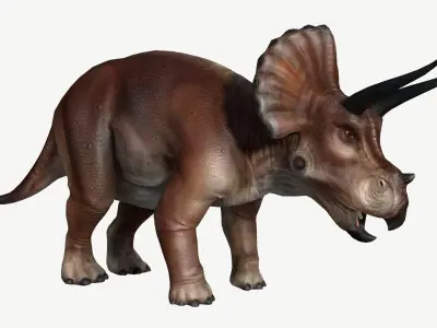 Triceratops dinosaur Low-poly 3D model 2