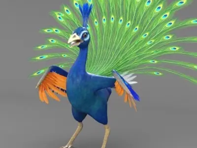 Peacock 3D model purchase