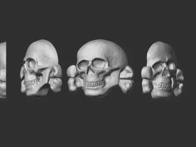 SS Totenkopf Skull 3D print model