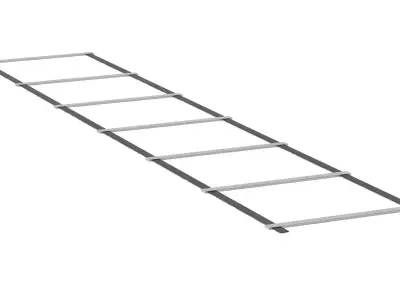 Technogym Accessories Speed Ladder 3D model