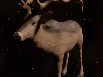 Elk Model Rigged 3D model