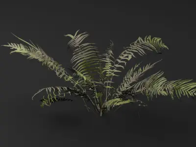 Fern Plant 3D model