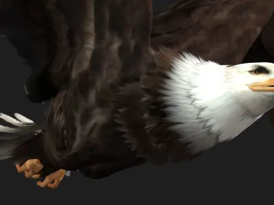 Eagle-B2 3D model