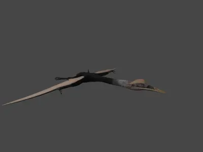 Quetzalcoatlus Low-poly 3D model