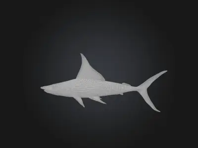 White marlin Low-poly 3D model