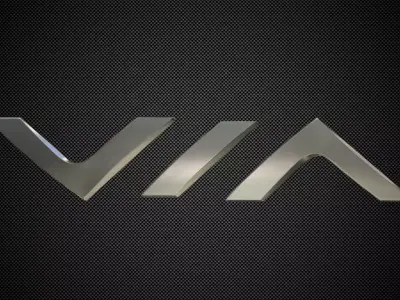 via logo 3D model