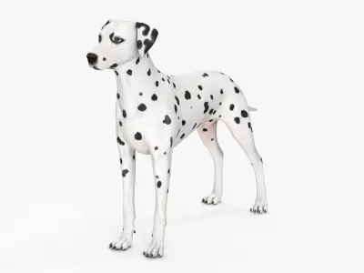 Spotted Dalmatian Dog 3D model