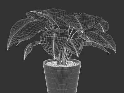  Young Monstera Plant Potted Plant Model  buy