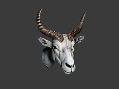 Deer Animal Head Low-poly 3D model 11