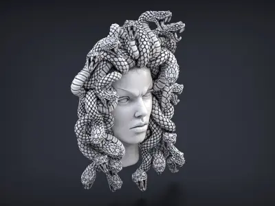 High Detailed Medusa Head 3D print model