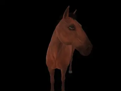 horse 3D model 3