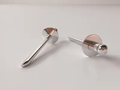 Rivet pair of silver nail pins 3D model