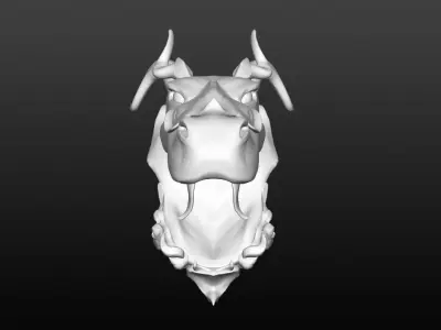 Snake - Dragon head 3d model - Sculptris 3D model