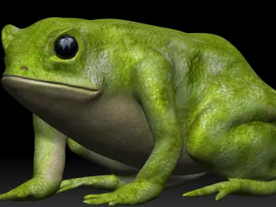 Green frog Low-poly 3D model